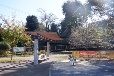 KjRom6dsdeM8VmYkQ3RY.jpg?w=940&h=940