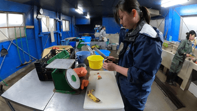 KjmDL2SEo0VFavWaOjfX.png?w=940&h=940