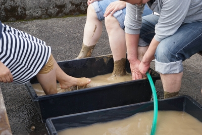 KkRaKCQlna6dz51RCPe6.jpg?w=940&h=940