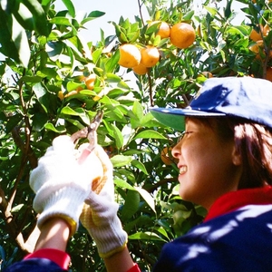 Kkl24tw2SirPznJAm0Ke.jpg?w=940&h=940