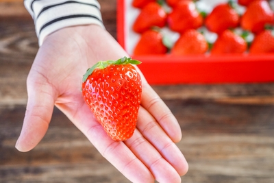 Kmw6dF4lLII42tpWDDGh.jpg?w=940&h=940