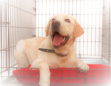 Kmz5cegzKPblIXKayt5I.jpeg?w=940&h=940