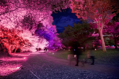 KnDcwHiuzWC3BQen16L0.jpg?w=940&h=940