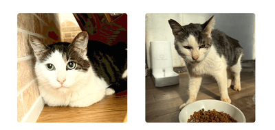 KnQJW8ykWvv4dKPOGntr.png?w=940&h=940