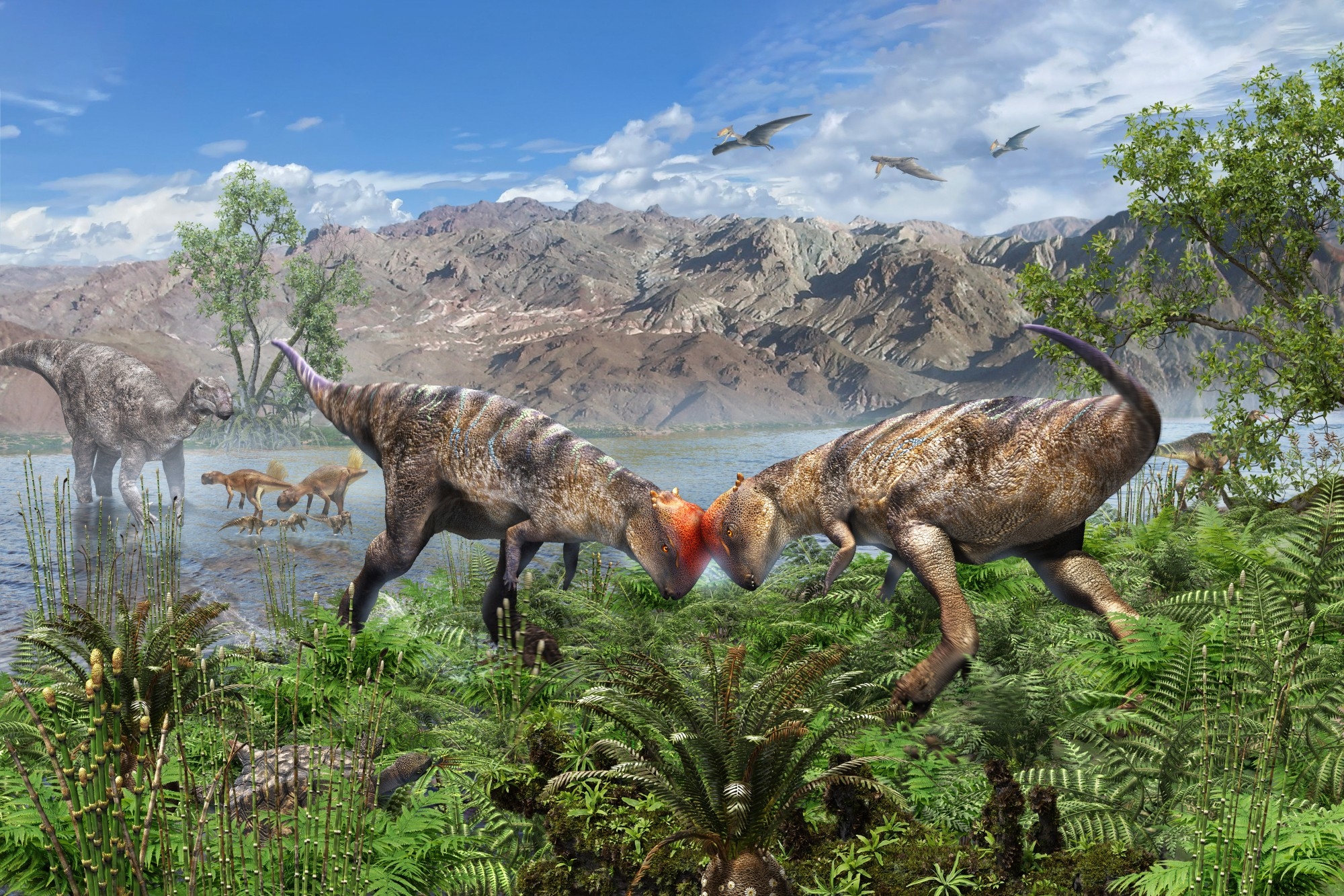 ザヴァケファレ同士の頭突き行動を描いた復元画(©服部雅人)