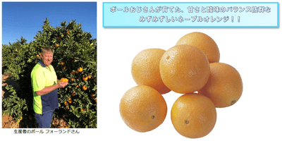 KnyVVWnFpx57soW1xonl.png?w=940&h=940