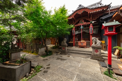 Kogjkt3ZSuu59znpAxcF.jpg?w=940&h=940