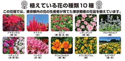 Kq2TmoC6gI7AHbWq9V8Y.jpg?w=940&h=940