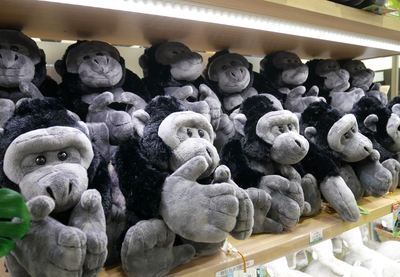 KqNgokTT5Il1QhbKLw9k.jpg?w=940&h=940