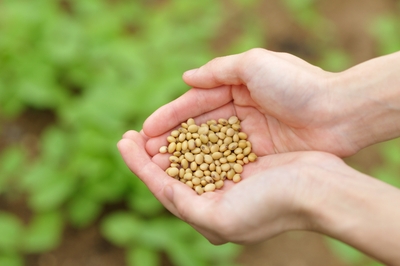 KqtDAgnUCaRhiYT2PW5t.jpg?w=940&h=940