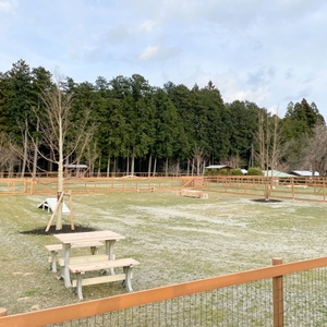 KrGS7gATkC0EjIQVnfrj.jpg?w=940&h=940