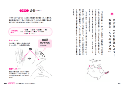 KsJaKuXgBwySZneEybIt.png?w=940&h=940