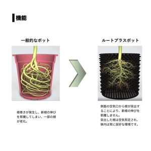 KtbrZnXiunefGNErpJM8.jpg?w=940&h=940