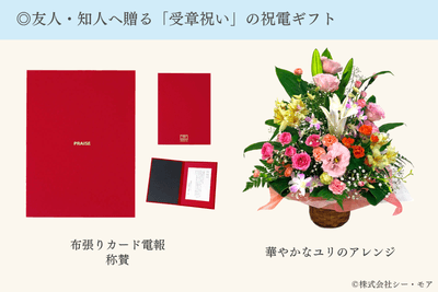 Kvugg7U3PDP5vgNe0BKf.png?w=940&h=940