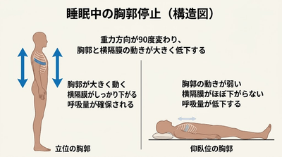 KwJaSkJUNVTX7dRt1z4U.png?w=940&h=940