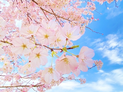 Kx6QgqnbzNgjPzkWIwiu.jpg?w=940&h=940