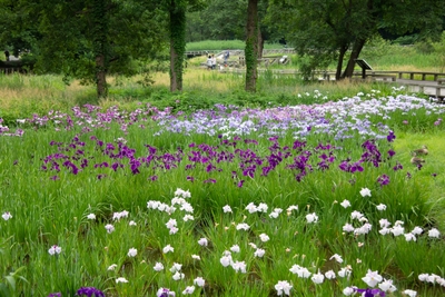 KxbWG8guMZskMx6aHyMY.jpg?w=940&h=940