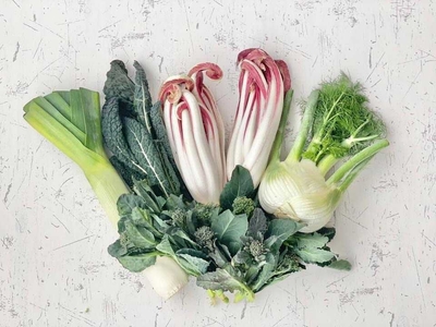 KxcxmO8Cyp50M65nqT5U.jpg?w=940&h=940