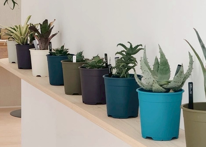 室内飾りつけイメージ