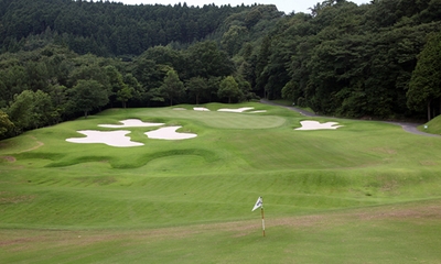 Kz8FfCCqNnbbrFGYukfI.jpg?w=940&h=940