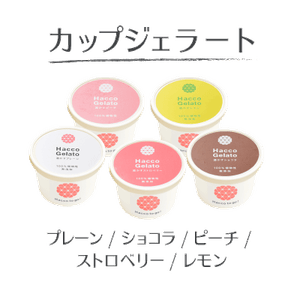 主原料酒粕の発酵ジェラート。お持ち帰りに便利なカップ