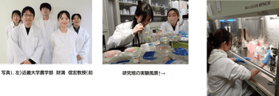 KzwZbHBH8P6Y7jPU7pVX.png?w=940&h=940