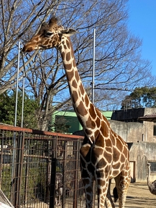 L04jDmCMgjqH4xrtQ7X2.jpg?w=940&h=940