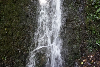 L0SRTSoTcwufUdN5GdRn.JPG?w=940&h=940