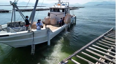 L2yty88tSrES8xSKvIx2.jpg?w=940&h=940