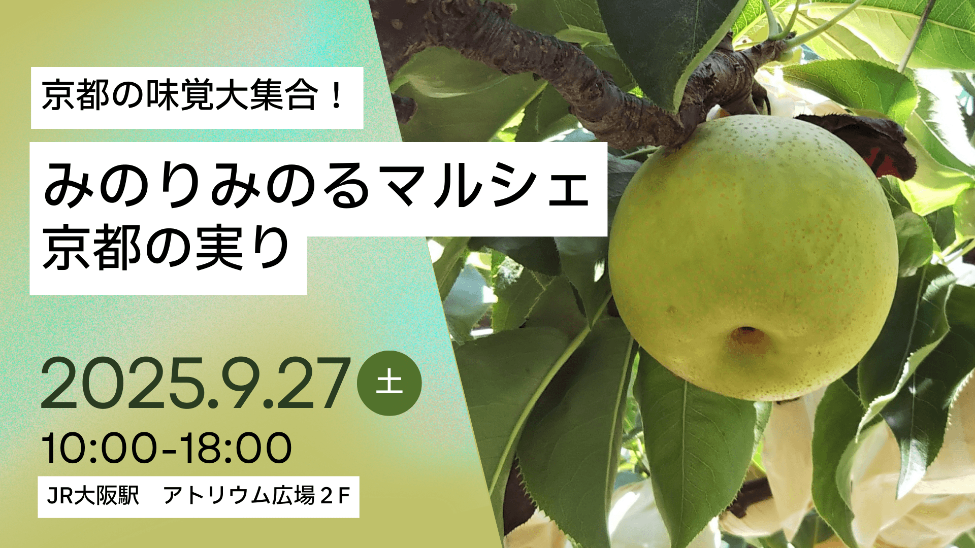 JA全農とJR西日本の地域振興支援プロジェクト JR大阪駅で「みのりみのるマルシェ 京都の実り」を 9月27日に開催