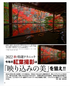 L4Pk1uu5ivVAVlDKvBIT.JPG?w=940&h=940