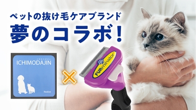 L4tVm95TLrK9XxpFbXug.jpg?w=940&h=940