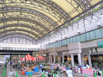 L5rbKMnVHa04BHl2hQ7y.jpg?w=940&h=940