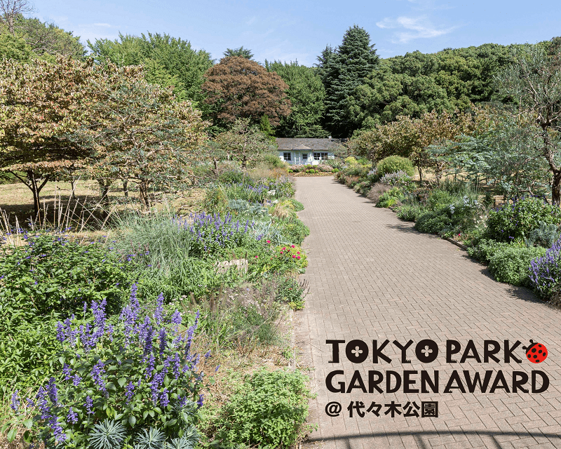 11/4（土）代々木公園　東京パークガーデンアワード ガーデンフェスティバル開催