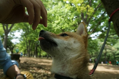 L6xcoFMtDS3q93lkKG6M.jpg?w=940&h=940