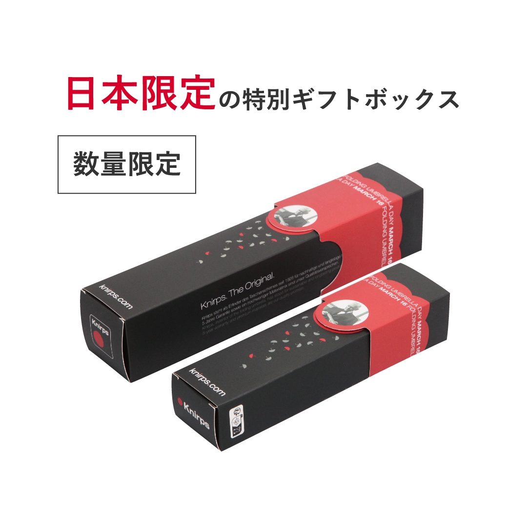 日本限定の特別ギフトボックス 1