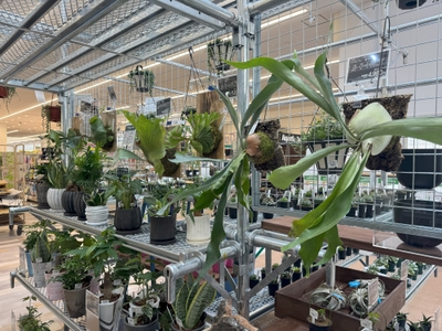 L8bZaWseQrIdQbagN5z1.jpg?w=940&h=940