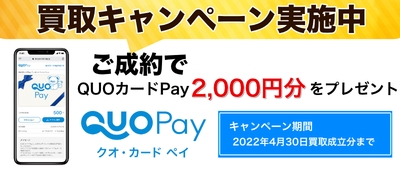 L96mWc8wabEdGl6sEELg.jpg?w=940&h=940