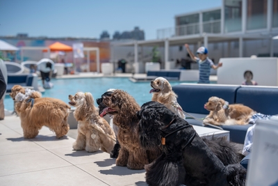 L9BK7ZOo8V0M5c290bPd.jpg?w=940&h=940