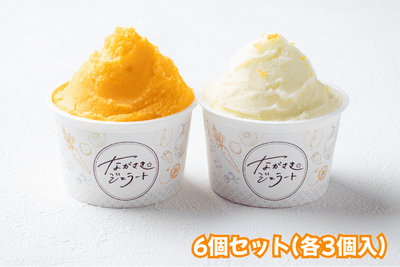 ながさきジェラート 長崎柑橘食べ比べ６個セット