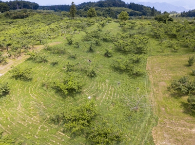 LCrgJ7Z6vnNeWAKvlvsV.jpeg?w=940&h=940