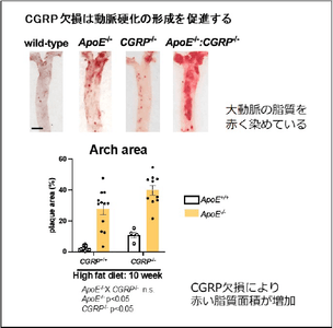 LDwo9fHSIoLKljQi45Kv.png?w=940&h=940
