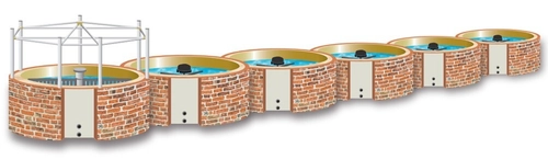 株式会社Seaside　 広島大学大学院とバナメイエビに関する共同実験を実施　 バナメイエビの摂餌効率における水温の影響