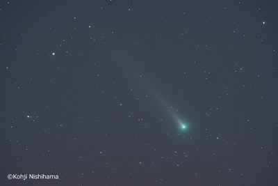 LHB9G3inWqarnvNMN73m.jpg?w=940&h=940