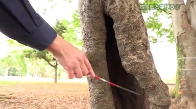 LITLFPZ4EQViX68ACsjE.jpg?w=940&h=940