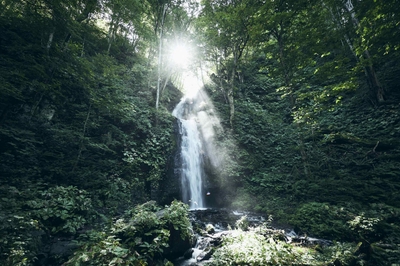 LIUkvYlxJXln8czTtrOf.jpg?w=940&h=940