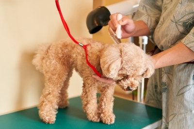 LIayTRFNBHon4yLziUx7.jpg?w=940&h=940