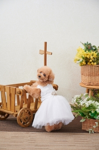 LIwMT29pRDuRhDqzgS6z.jpg?w=940&h=940