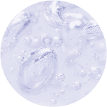 成分3:天然ヒト型セラミド