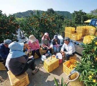 LJGMNRFQ02xfkvq1a49a.jpg?w=940&h=940